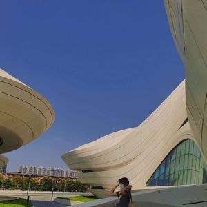 激情舔逼艹逼视频
