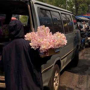 激情舔逼艹逼视频
